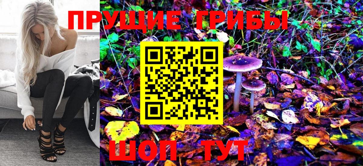 Мариинск  Галлюциногенные грибы Psilocybine cubensis  Вход с VPN  Галлюциногенные грибы Psilocybe 